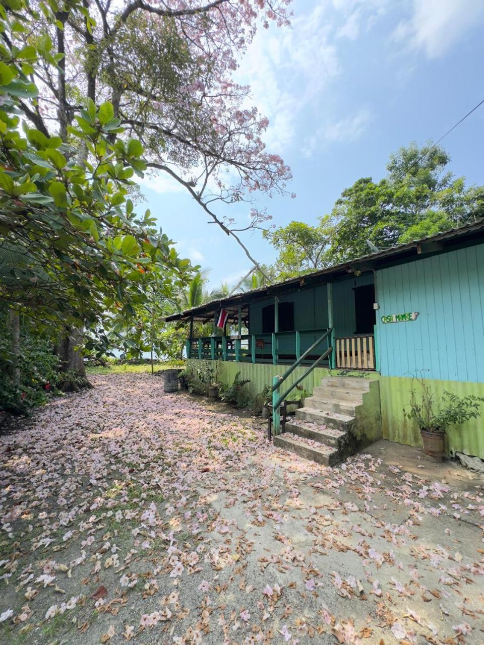 Casa Mamre Cahuita Exterior foto